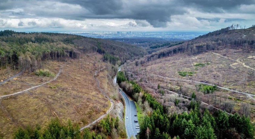 ევროკავშირს ბუნების აღდგენის ახალი კანონმდებლობა აქვს