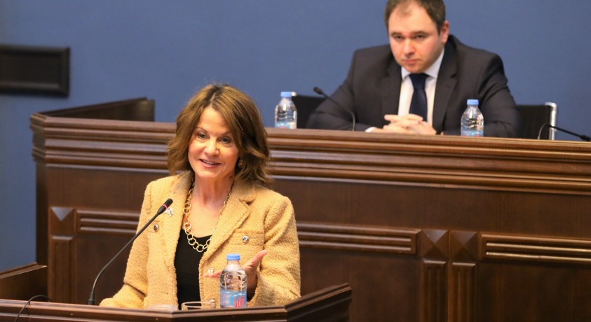 აშშ-ის ელჩი საქართველოში პარლამენტის წინაშე წარდგა