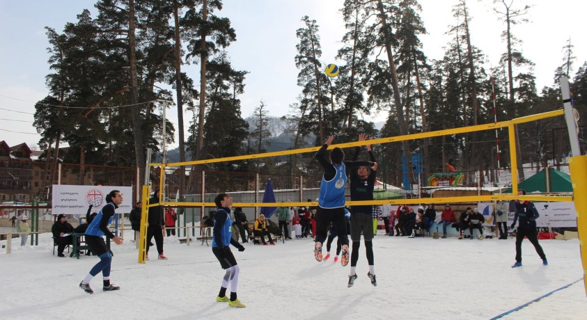 თოვლის ფრენბურთი