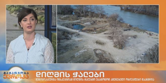 დიღმის ჭალების დაცვა