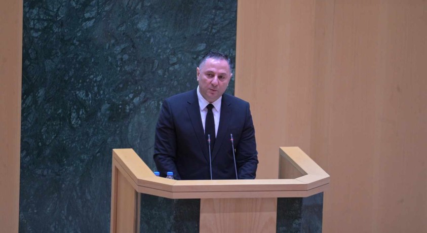 ვახტანგ გომელაური პარლამენტის წინაშე წარსდგა