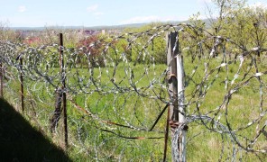 2008 წლიდან დღემდე საოკუპაციო რეჟიმი ყოველწლიურად საქართველოს ათეულობით მოქალაქეს აკავებს