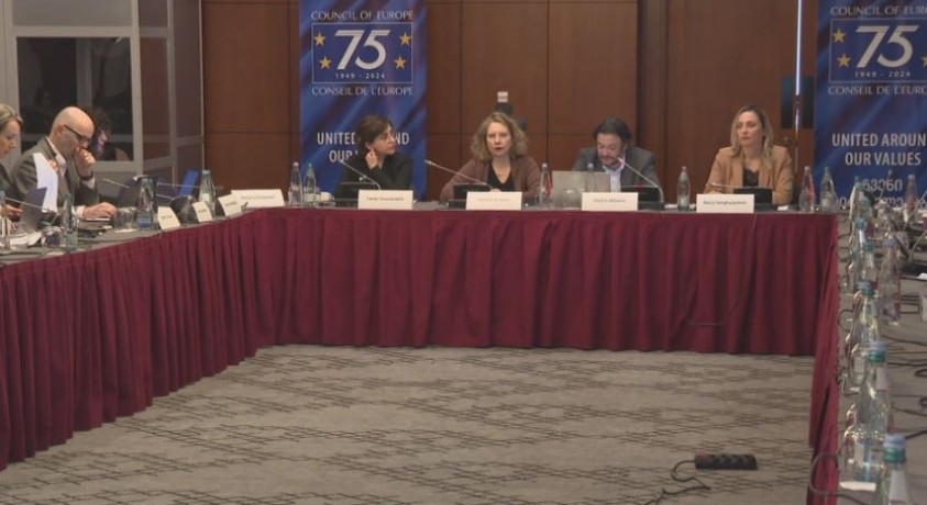 „გამოხატვისა და მედიის თავისუფლების მხარდაჭერა საქართველოში“