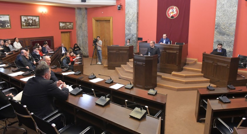 საარჩევნო კოდექსში ტერმინი “მაჟორიტარი” შესაძლოა “დელეგატით” შეიცვალოს