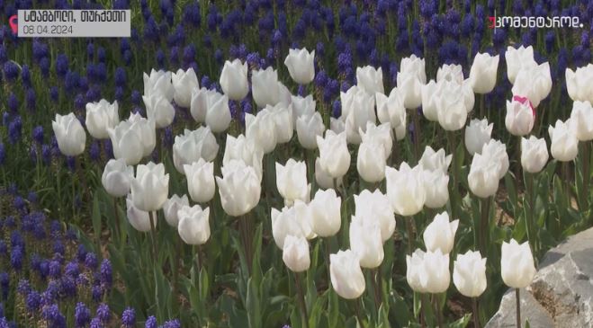 სტამბოლი, თურქეთი