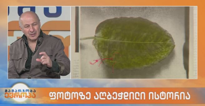 ფოტოზე აღბეჭდილი ისტორია