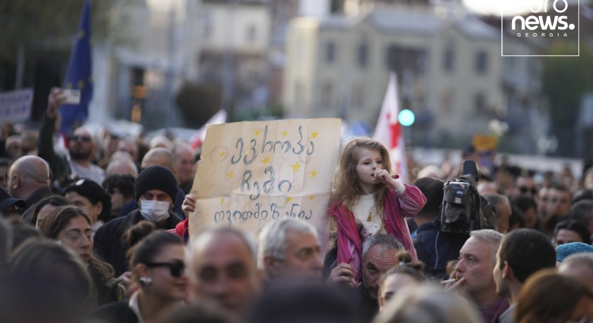 მეორედ ინიციირებული კანონი – მოსაზრებები და სამომავლო გეგმები