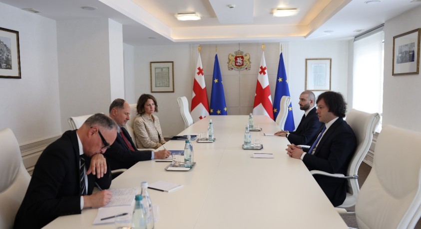 პრემიერ-მინისტრის შეხვედრა დიპლომატებთან