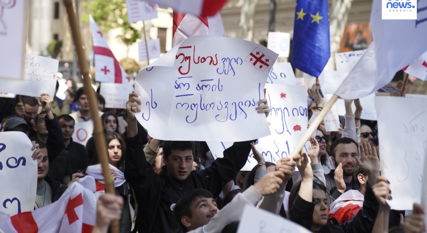 პროტესტი საკომიტეტო მოსმენის ფონზე