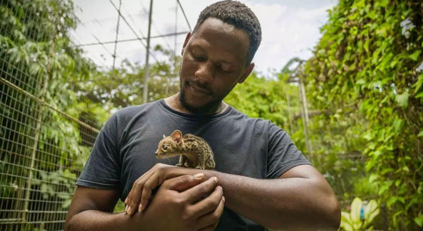 ნიგერიელი ცხოველთა დამცველი ველური ცხოველების გადარჩენაზე ზრუნავს