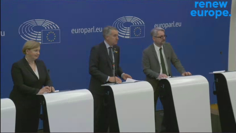 ევროპარლამენტარებისა და ნიკა გვარამიას ერთობლივი პრესკონფერენცია