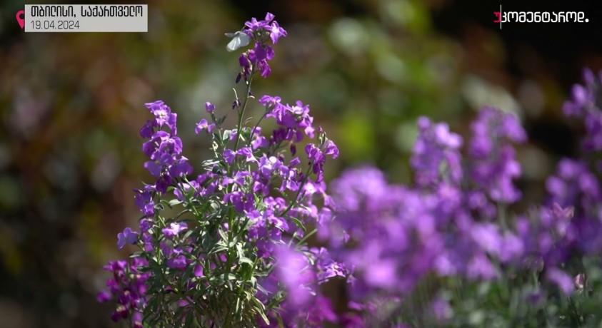 თბილისი, საქართველო