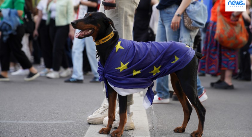 პროტესტი “უცხოური გავლენის გამჭვირვალობის” კანონპროექტის წინააღმდეგ