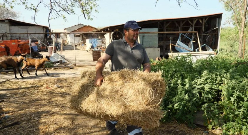 რამდენად აზიანებს ჯანმრთელობას სითბური ტალღების დროს მუშაობა?