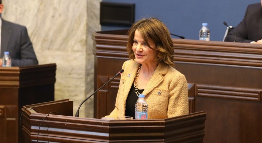 „საქართველოს მთავრობის არჩევანმა ქვეყანა ევროატლანტიკურ მომავალს დააშორა“ – რობინ დანიგანი