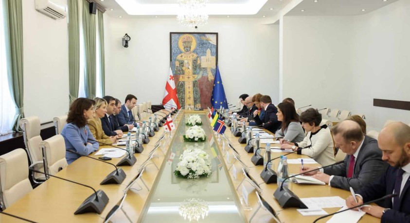ოთხი ევროპული ქვეყნის საგარეო საქმეთა მინისტრებმა საქართველოს პარლამენტში შეხვედრები გამართეს