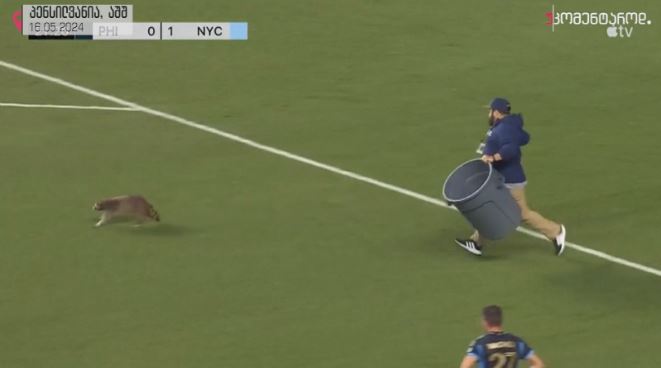 პენსილვენია, აშშ