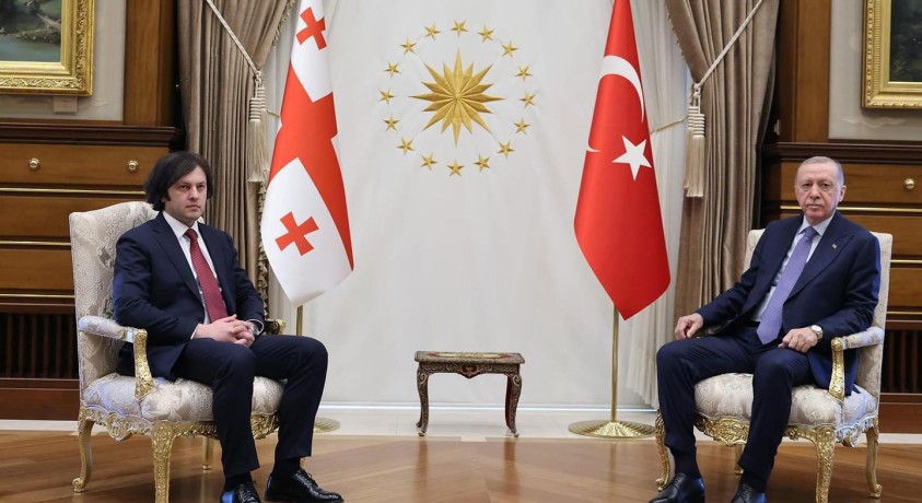 რეჯეფ თაიფ ერდოღანმა და ირაკლი კობახიძემ საქართველოში მიმდინარე მოვლენებზე ისაუბრეს