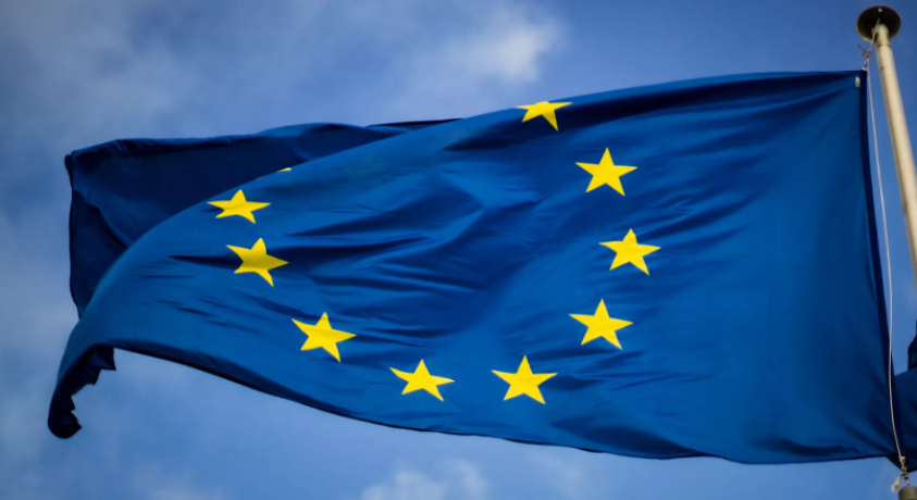 ევროკავშირის რამდენიმე ქვეყანა საქართველოსთვის სანქციების დაწესებას ითხოვს – Financial Times