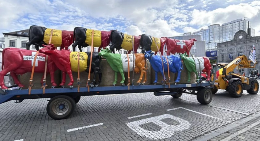 რძის მწარმოებელმა ფერმერებმა  ბრიუსელში საპროტესტო აქცია გამართეს