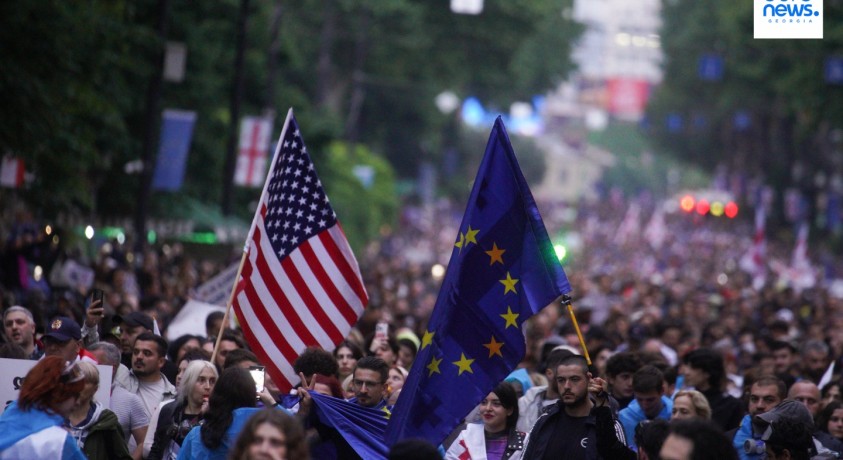 კრიტიკა ევროპიდან და აშშ-იდან