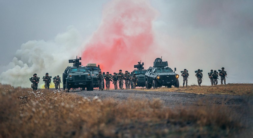 ევროკავშირი საქართველოს თავდაცვის ძალებისთვის