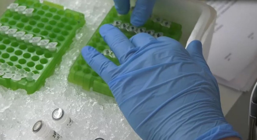 ესპანეთში კიბოსთან ბრძოლის ახალ, ნანონაწილაკებზე დაფუძნებულ, მეთოდოლოგიაზე მუშაობენ