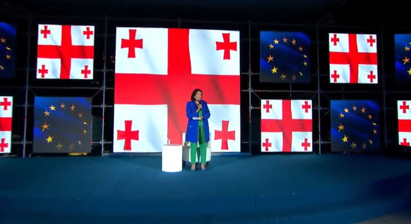 სალომე ზურაბიშვილი ახალგაზრდებს შეხვდა