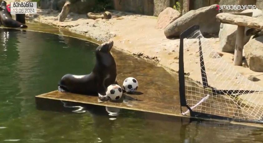 გერმანია