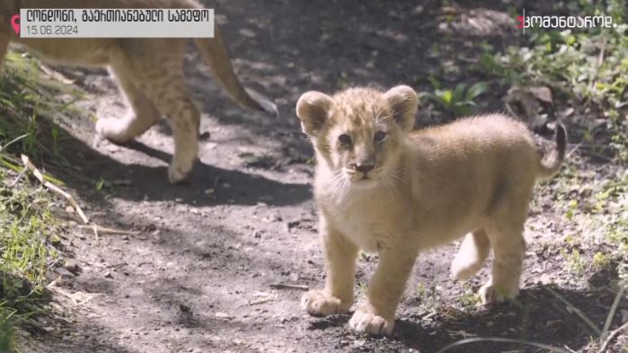 ლონდონი, გაერთიანებული სამეფო