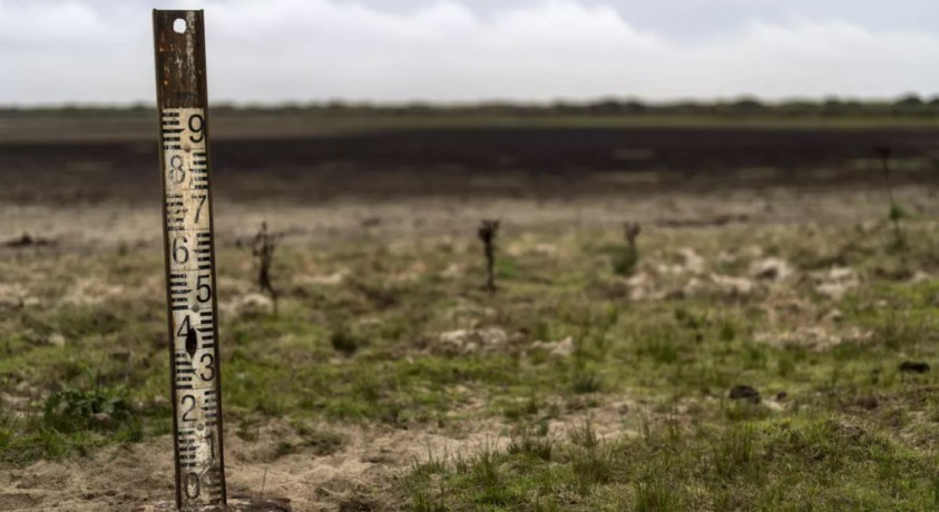 ევროკავშირმა ბუნების აღდგენასთან დაკავშირებით კანონი მიიღო