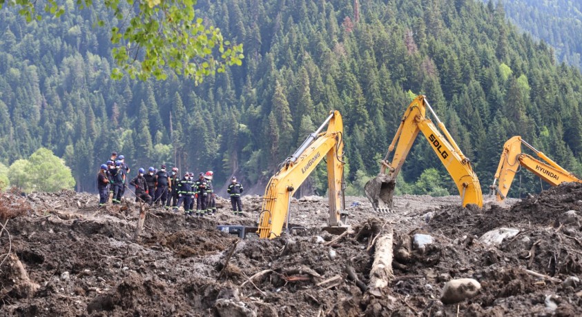 შოვი ერთი წლის შემდეგ