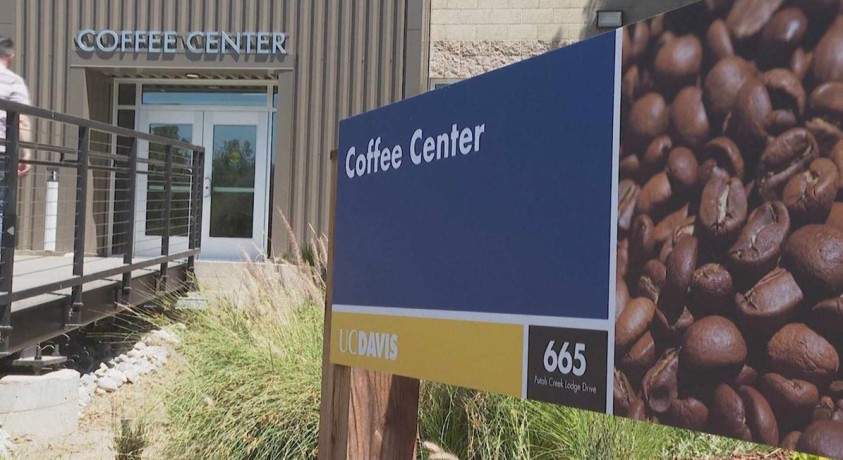 ამერიკის შეერთებულ შტატებში ყავის კვლევის პირველი ცენტრი გაიხსნა