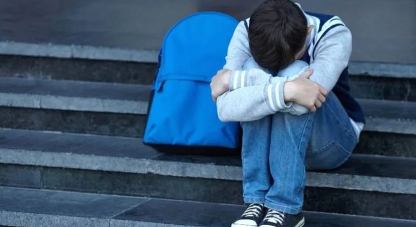 ბულინგი – ახალი კვლევა სკოლებში ბავშვთა ჩაგვრის შესახებ