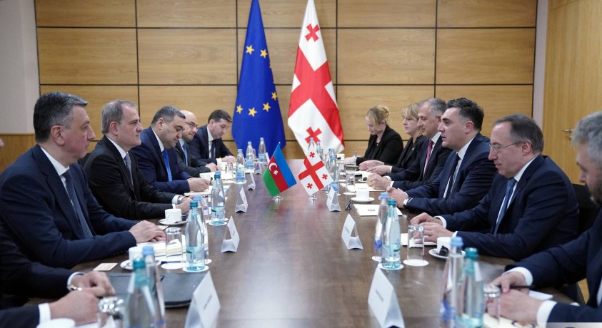 ილია დარჩიაშვილი აზერბაიჯანის საგარეო საქმეთა მინისტრს შეხვდა