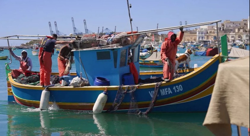 მეცნიერებისა და მეთევზეების თანამშრომლობა მალტის საზღვაო ეკოსისტემის განვითარებას ემსახურება