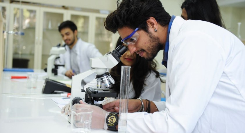 საქართველოში 16 ათასზე მეტი ინდოელი სტუდენტი სწავლობს