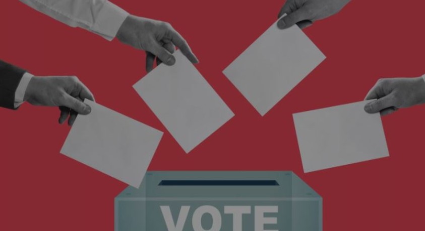 „ბოროტი ქათმები” და „ძაღლები ორი კუდით” – 2024 წლის ყველაზე უცნაური პოლიტიკური პარტიები და კამპანიები