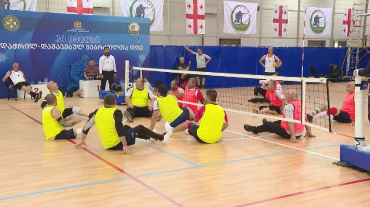 დაჭრილ და დაშავებულ მებრძოლთა კვირეული