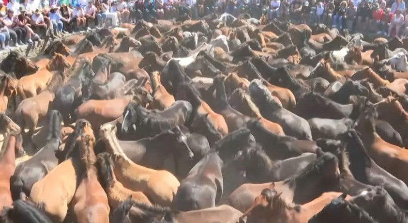 ესპანეთში ცხენების ყოველწლიური ფესტივალი იმართება