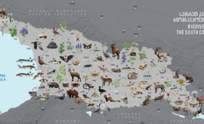 სამხრეთ კავკასიის ბიომრავალფეროვნების რუკა შეიქმნა