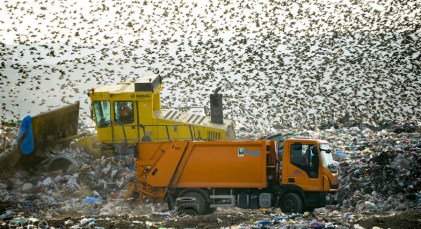 სად მიდის ნაგავი