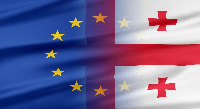 ევროკავშირის დახმარება საქართველოს მთავრობასა და სამოქალაქო საზოგადოებას
