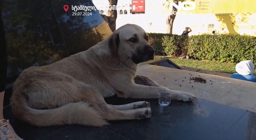 სტამბოლი, თურქეთი