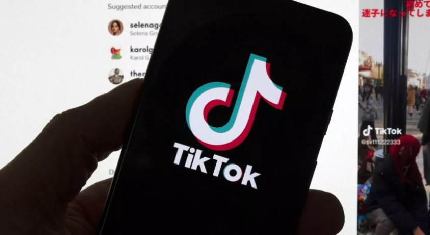 პრონაცისტური ანგარიშები TikTok-ზე