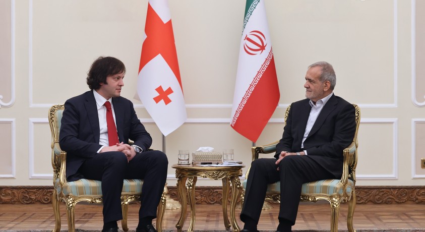 ირაკლი კობახიძის ვიზიტს ირანში კრიტიკა მოჰყვა