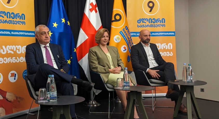 „ილიას გზა” – კოალიცია „ძლიერი საქართველოს” საარჩევნო პროგრამა