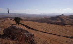 გვალვა, გაუდაბნოება და სითბური ტალღები – კლიმატის კრიზისი სიცილიაში