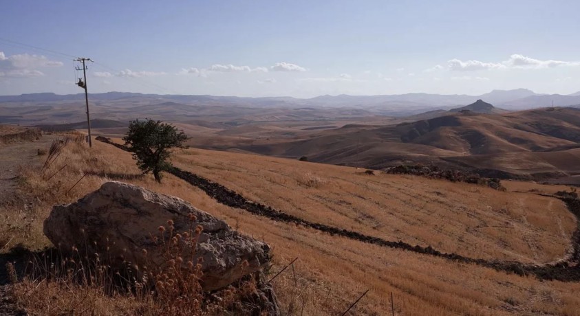 გვალვა, გაუდაბნოება და სითბური ტალღები – კლიმატის კრიზისი სიცილიაში