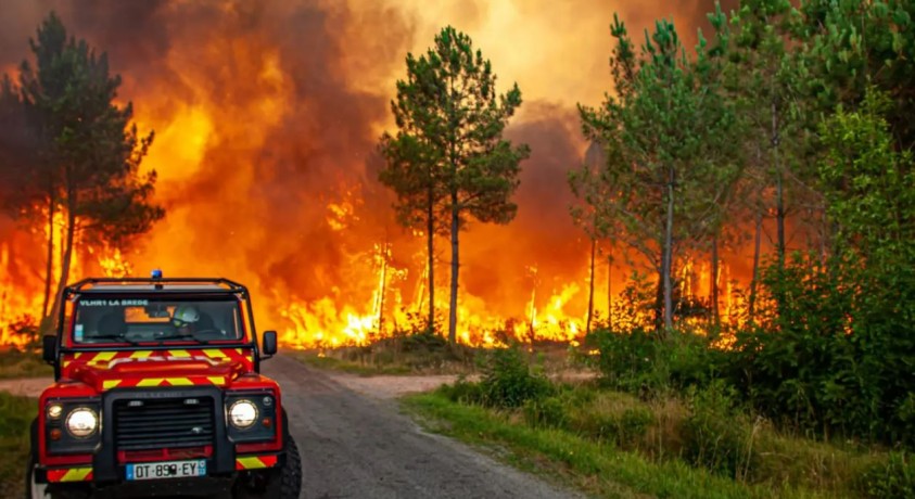2017 წლიდან პორტუგალიაში ხანძრის შემთხვევები საგრძნობლად შემცირდა